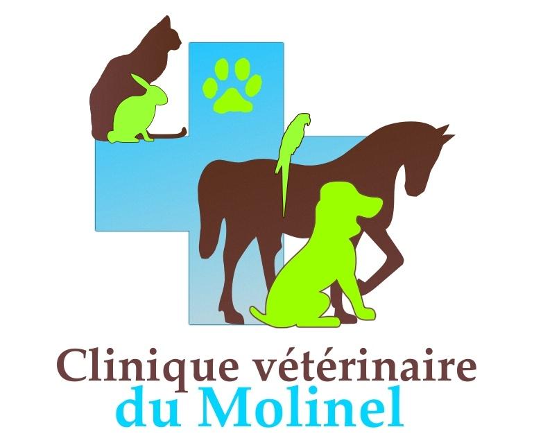 Logo molinel